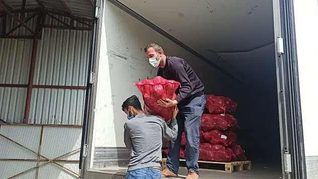 Bafra Ovası'ndan kışlık sebze ihracatı attı  