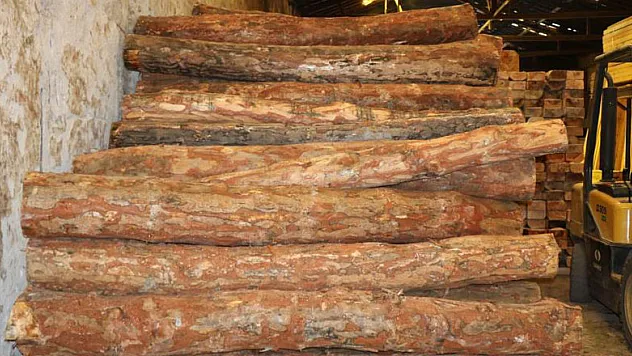 Korona salgını dünyada ahşaba olan talebi arttırdı, fiyatlar arttı