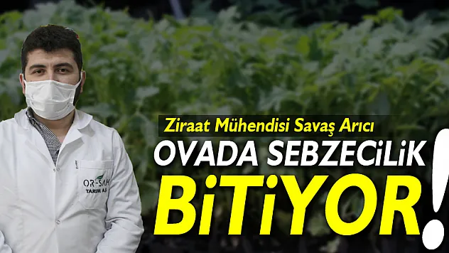 Ovada Sebzecilik bitiyor!