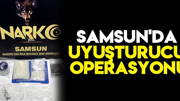 Samsun'da uyuşturucu operasyonu: 2 gözaltı