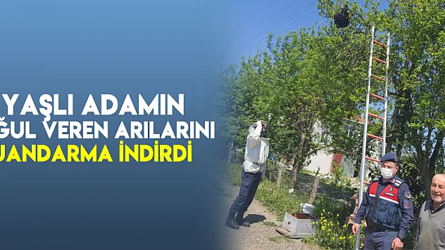 Yaşlı adamın oğul veren arılarını jandarma indirdi