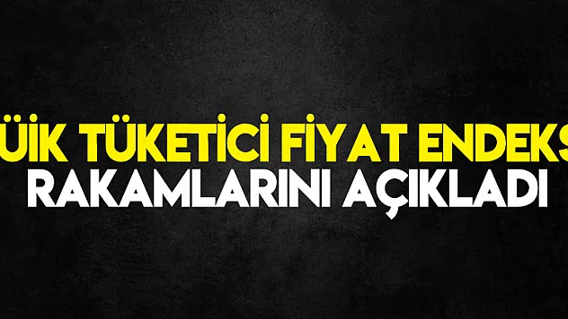 TÜİK tüketici fiyat endeksi rakamlarını açıkladı
