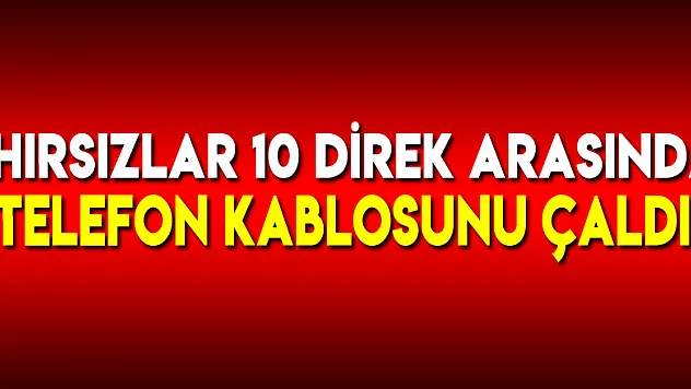 Hırsızlar 10 direk arasında telefon kablosunu çaldı