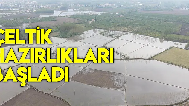Meşhur Terme pirincinin ekim çalışmalarına başlandı