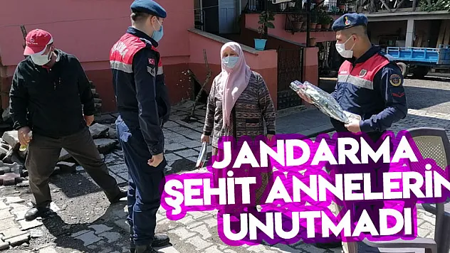 JANDARMA ŞEHİT ANNELERİNİ UNUTMADI