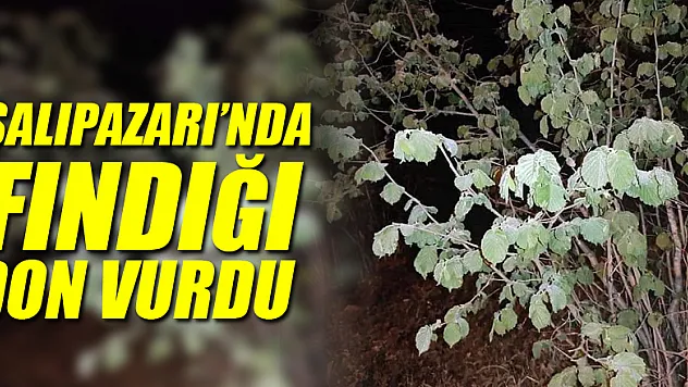 SALIPAZARI'NDA FINDIĞI DON VURDU!