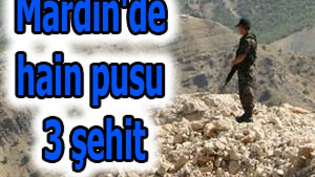 Mardin'de hain pusu: 3 şehit