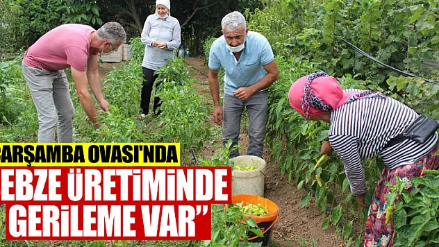 Aydemir: 'Çarşamba Ovası'nda sebze üretiminde gerileme var'