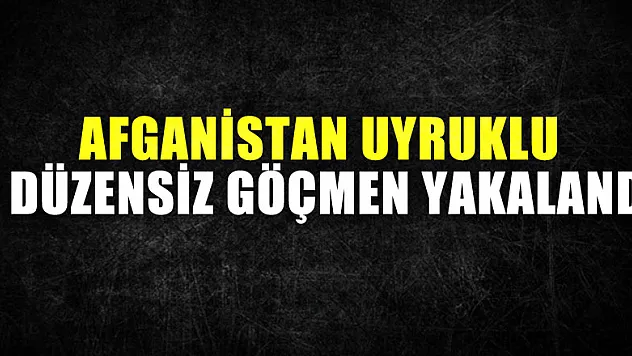 Samsun'da Afganistan uyruklu 7 düzensiz göçmen yakalandı