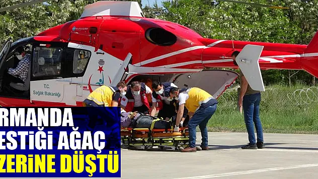 Ormanda kestiği ağaç üzerine düşen şahıs ambulans helikopterle hastaneye yetiştirildi
