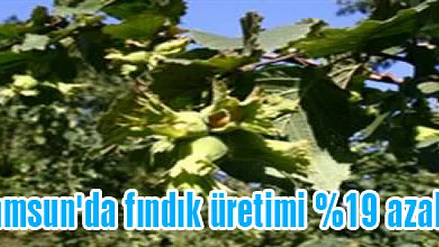 Samsun'da fındık üretimi %19 azaldı