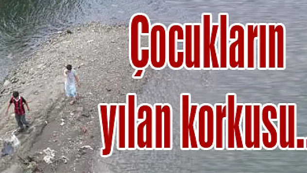 Çocukların yılan korkusu...