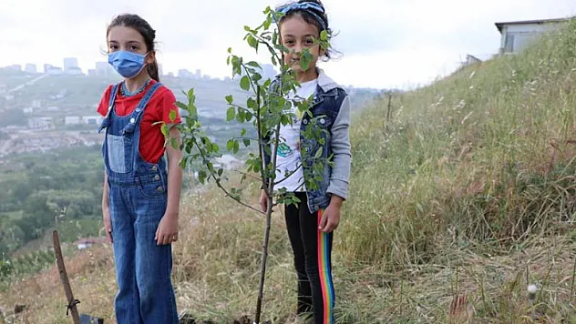 Samsun'da imece usulü dikilen fidanlar yarınlara nefes olacak