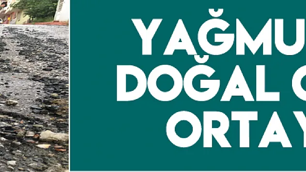 Yağmur yağdı, doğal gaz hattı ortaya çıktı