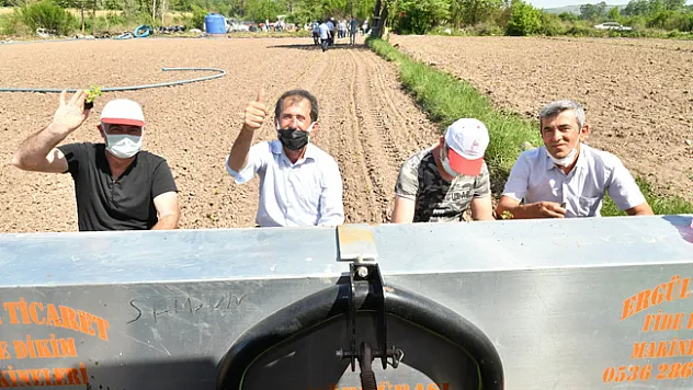 Üreticiye 225,5 bin tıbbi aromatik fide desteği