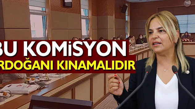 Bu komisyon, Erdoğanı kınamalıdır