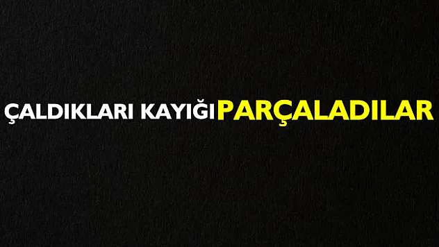Çaldıkları kayığı parçaladılar