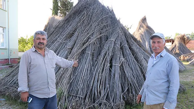 Türkiye'nin kenevir merkezi ilan edilen ilçede bu sene kenevir ekimi düştü