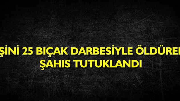 Eşini 25 bıçak darbesiyle öldüren şahıs tutuklandı