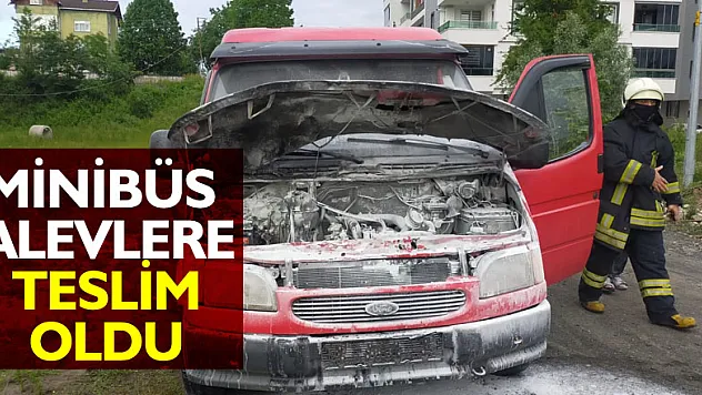 Minibüs alevlere teslim oldu