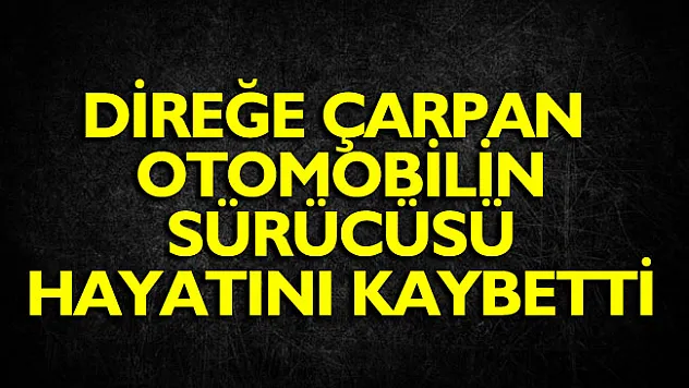Direğe çarpan otomobilin sürücüsü hayatını kaybetti