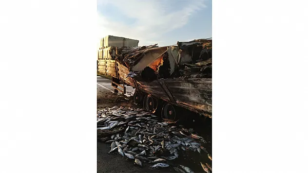 Balık yüklü tırda yangın