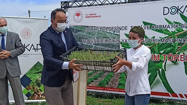 Kekik Fide Dağıtım ve Dikimi Tarla Günü