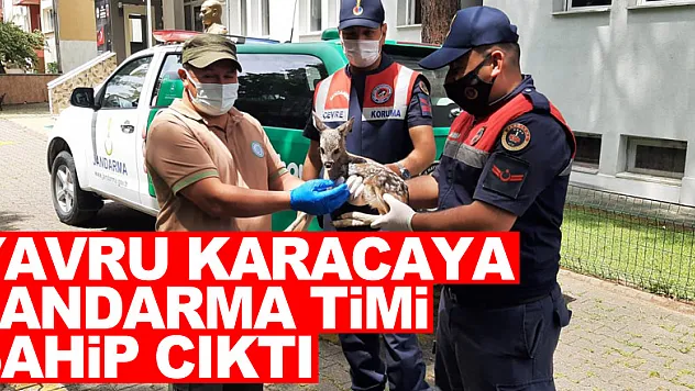 YAVRU KARACAYA JANDARMA TİMİ SAHİP ÇIKTI