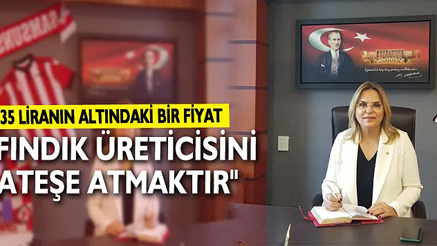 Hancıoğlu: '35 liranın altındaki bir fiyat, fındık üreticisini ateşe atmaktır'