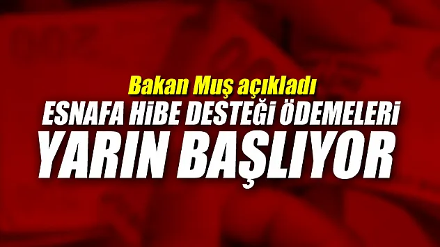 Esnafa hibe desteği ödemeleri yarın başlıyor