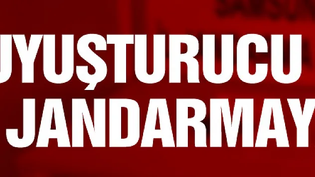 Samsun'a uyuşturucu sevkiyatı jandarmaya takıldı
