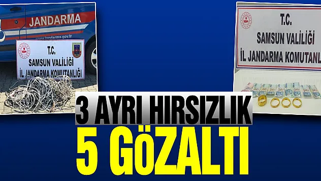 Samsun'da 3 ayrı hırsızlık olayı: 5 gözaltı