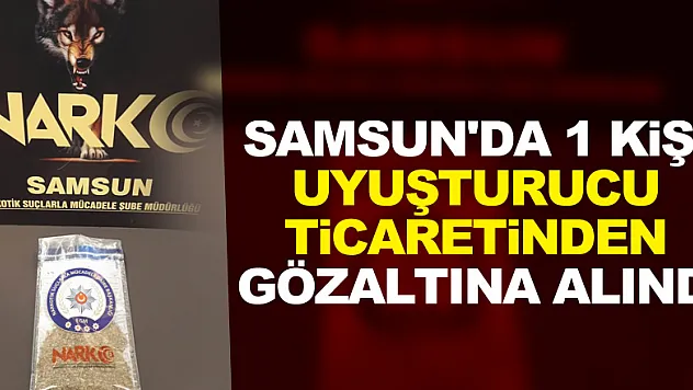 Samsun'da 1 kişi uyuşturucu ticaretinden gözaltına alındı