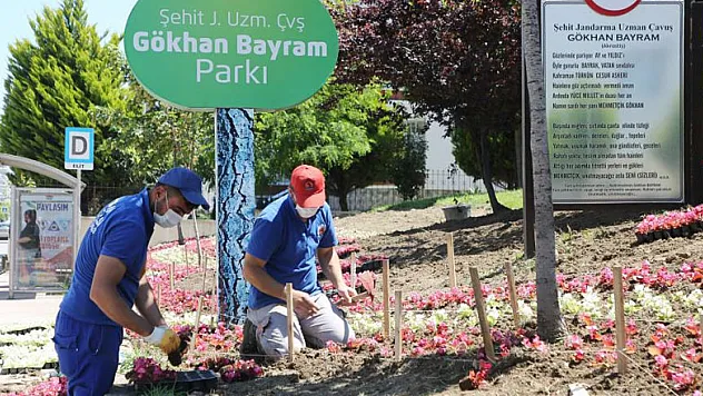 Atakum'un parklarına 30 bin çiçek
