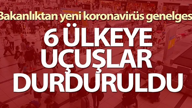 Bakanlıktan 'Ülkeye Giriş Tedbirleri' konulu genelge!
