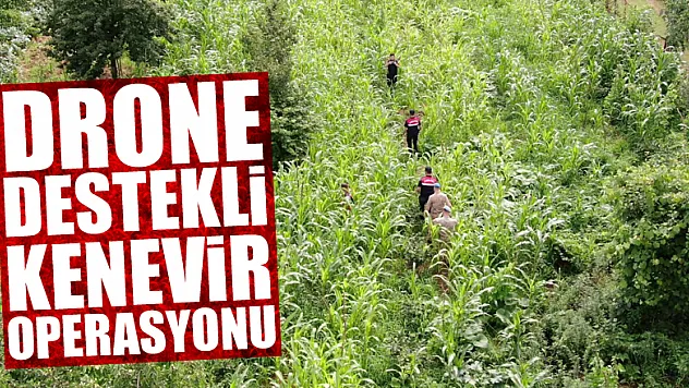 Drone destekli kenevir operasyonu