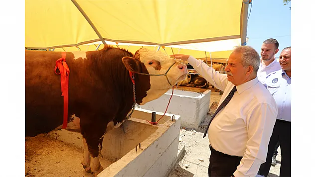 İlkadım'dan 'Kurbanınız Sevince Dönüşsün' kampanyası