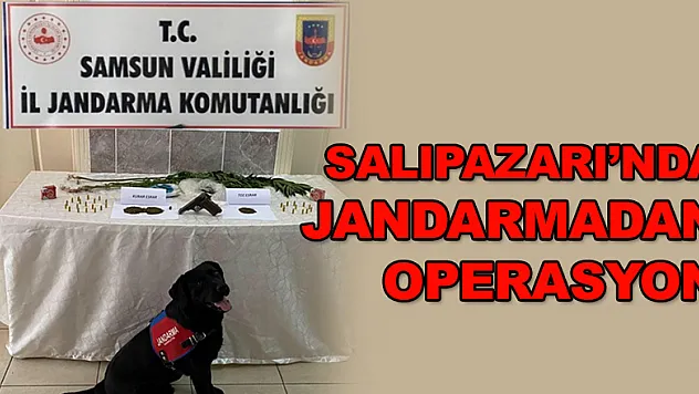 Jandarmadan operasyon 
