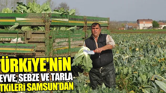 Türkiye'nin meyve, sebze ve tarla bitkileri Samsun'dan