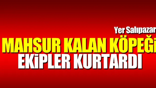 MAHSUR KALAN KÖPEĞİ EKİPLER KURTARDI