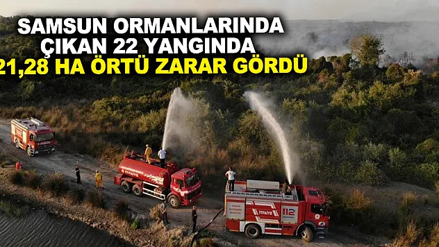 Samsun ormanlarında çıkan 22 yangında 21,28 ha örtü zarar gördü