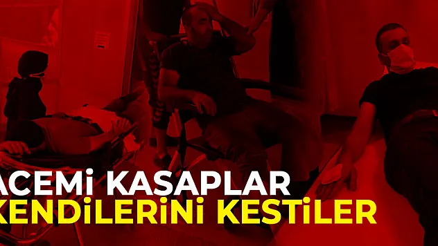 Acemi kasaplar kendilerini kestiler