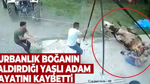 Kurbanlık boğanın saldırdığı yaşlı adam hayatını kaybetti