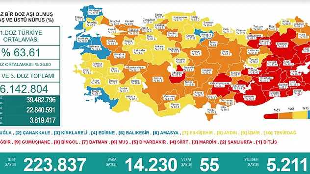 Karadeniz'de aşılamada 10 il sarı, 5 il turuncu, 2 il kırmızı, 1 il de mavi