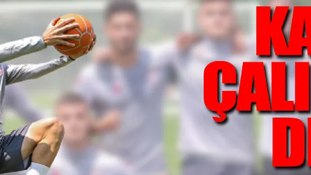 Kampta çalışmalar devam