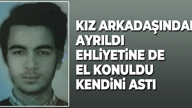 Kız arkadaşından ayrılıp ehliyetine de el konulunca kendini astı