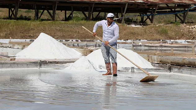 84 Mineral İçeren Doğal Tuzda hasat başladı