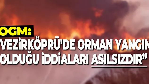 OGM: 'Vezirköprü'de orman yangını olduğu iddiaları asılsızdır'