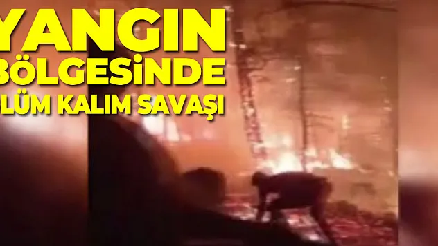 Yangın bölgesinde itfaiyecilerin ve vatandaşların ölüm kalım savaşı