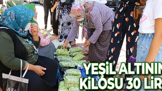 Yeşil altının kilosu 30 lira